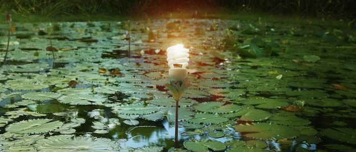 Qué consecuencias económicas tendrá la COP26