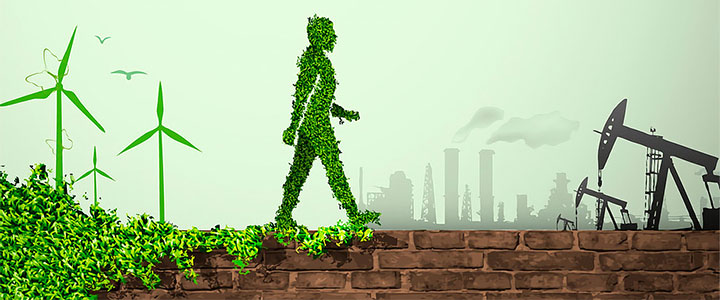 Materias Primas Estratégicas y Cadena de Valor