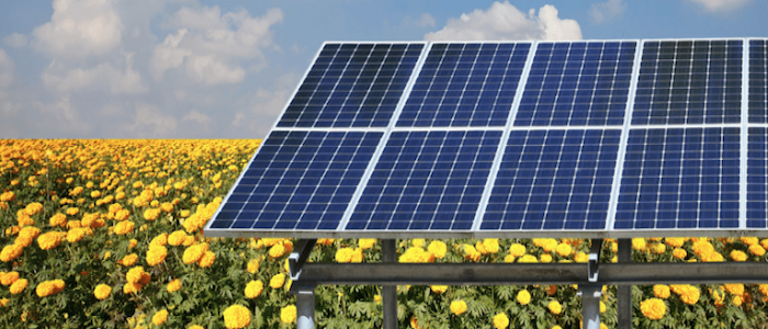 La Asociación para la Transición Energética participa en una jornada sobre energía agrovoltaica y la transición energética en el mundo rural