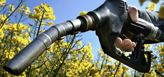 Los biocombustibles basados en residuos podrían impulsar la transición energética