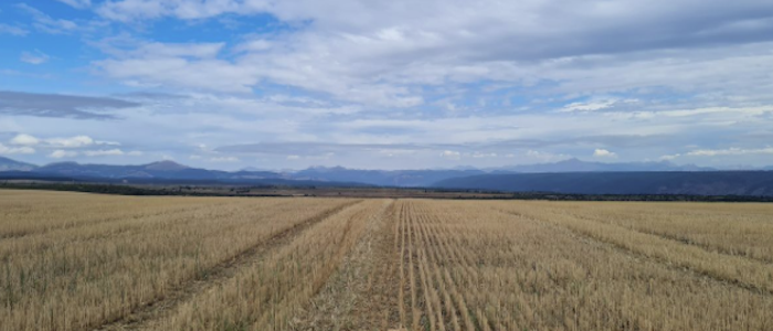 Dos historias de éxito de la transición energética en España