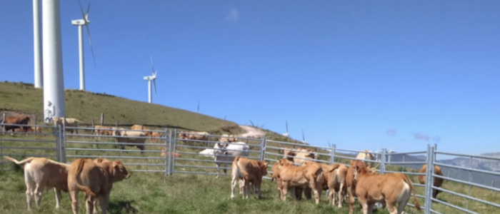 Una reflexión sobre los parques eólicos en Cantabria bajo la experiencia