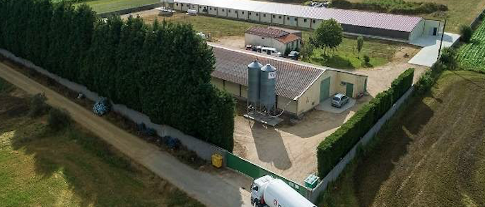 El biopropano, una energía clave para la transición energética en España