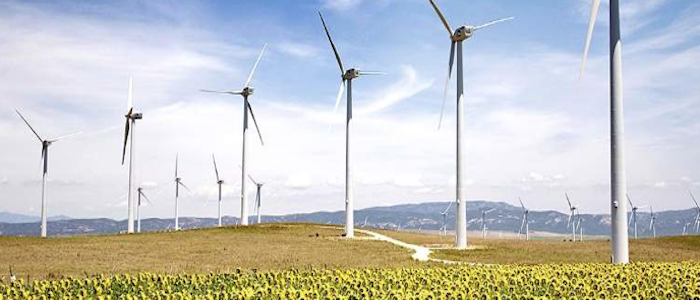 Renovables, aquí y ahora