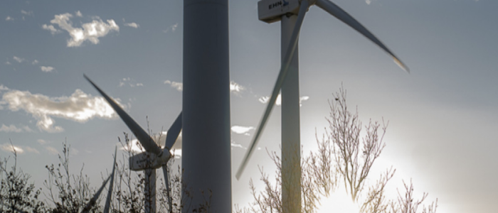 El Gobierno busca apoyar iniciativas innovadoras y punteras que aceleren la transición energética en Canarias