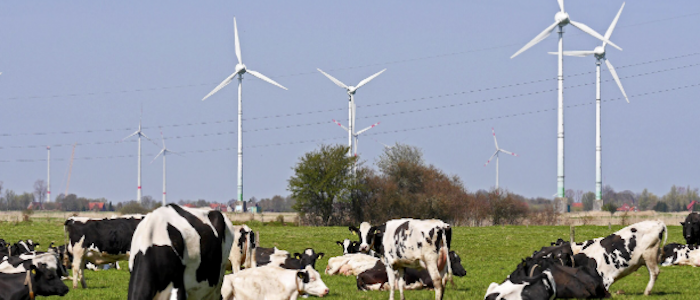 La transición energética hacia 2030, ¿cuáles son las oportunidades económicas para los territorios rurales?