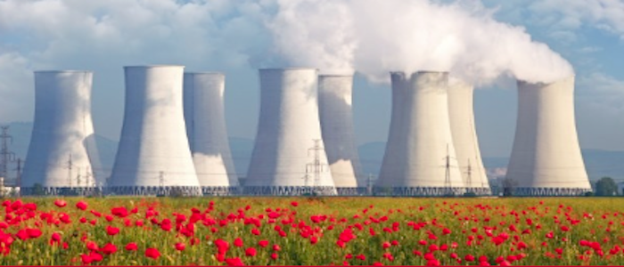 La Asociación para la Transición Energética (ATE) protagonizó un debate sobre la continuidad de las centrales nucleares