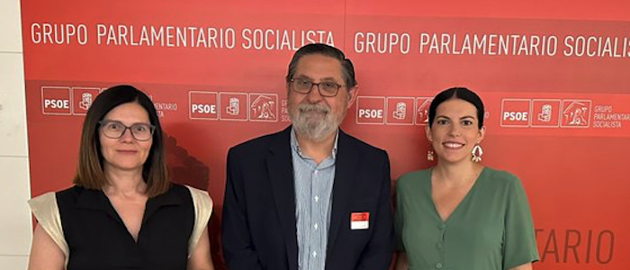La ATE analizó con el Grupo Socialista en el Congreso de los Diputados los retos de la transición energética y su impacto en la industria española